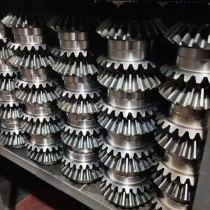 Customized Worm Gear